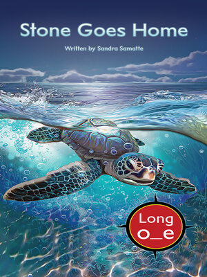 cover image of Stone Goes Home